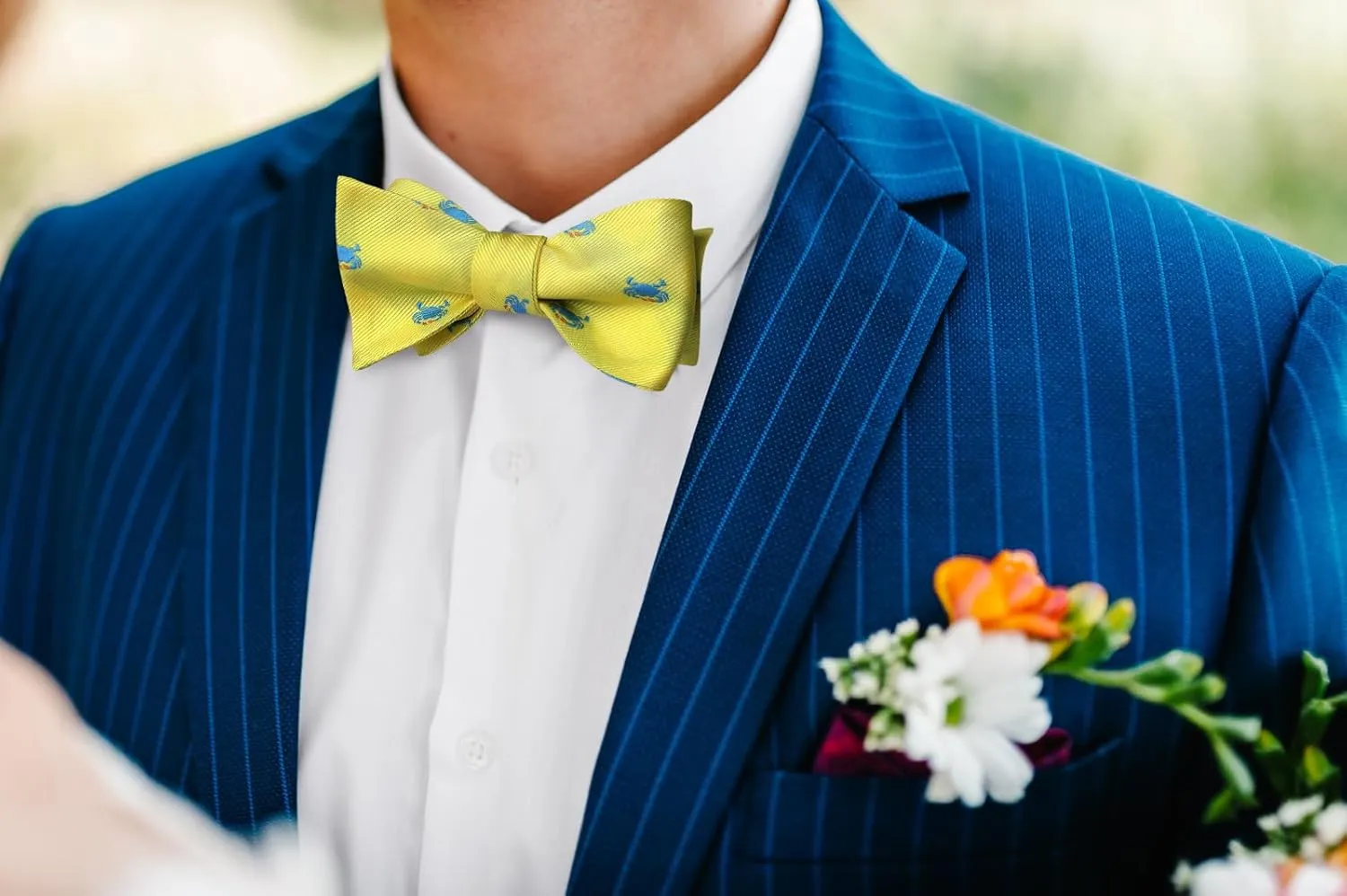 HISDERN Bow Ties for Men Self Tie Animal Bowties Pocket Square Woven Silk Fun Bowtie Handkerchief Set for Wedding Party