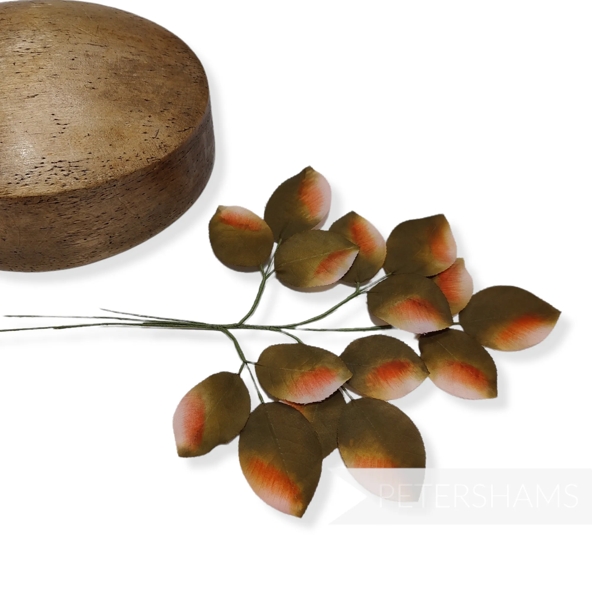 'Ida' Vintage 1940/50's Hand Painted German Wired Leaf Stems - 5 Stems