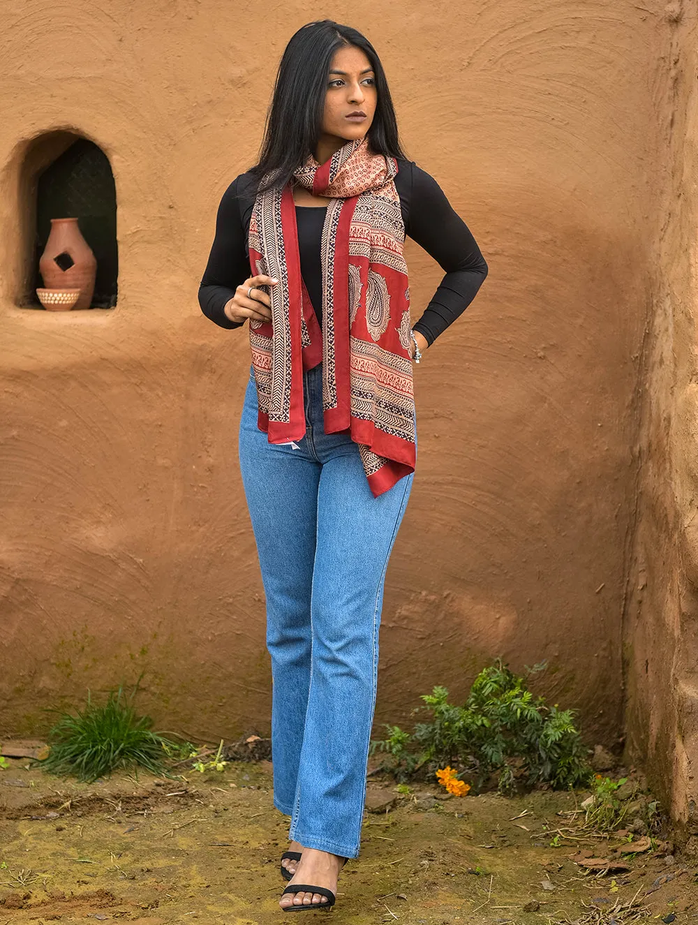 Pure Silk Bagh Printed Stole - Red Circle