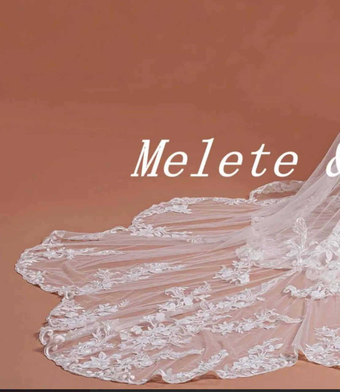 Vintage Lace Tulle Trumpet Bridal Gown